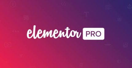 Elementor PRO - WordPress Page Builder Premium